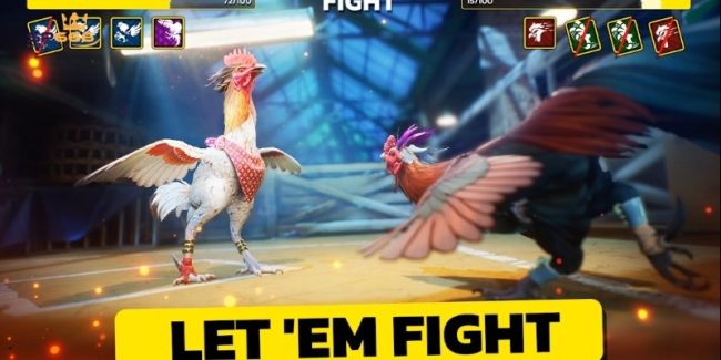 Đá gà cựa sắt