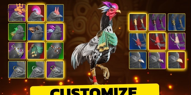 Khám Phá Đá Gà Cựa Sắt Và 4 Mẹo Cá Cược Dễ Thắng Lớn 2 Quy trình chơi đá gà đúng luật người chơi cần biết