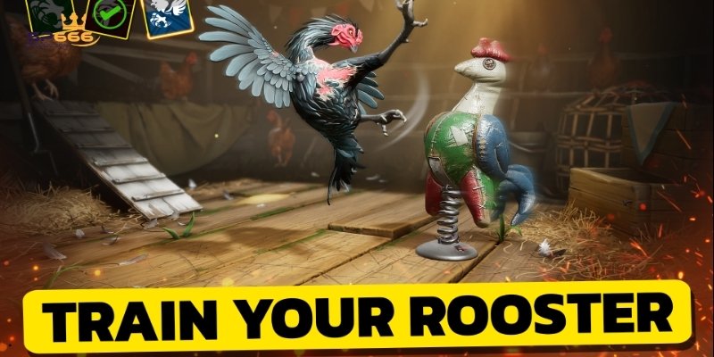 Khám Phá Đá Gà Cựa Sắt Và 4 Mẹo Cá Cược Dễ Thắng Lớn 3 4 kinh nghiệm chơi cá cược loại hình đá gà dễ thắng lớn