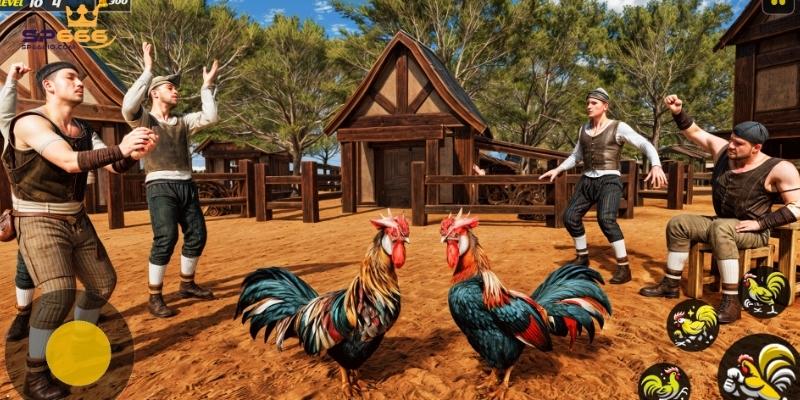 Đá gà SP666 đa dạng và kịch tính