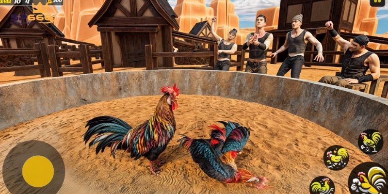 Đá gà tại đây hợp tác với nhiều nhà cung cấp danh tiếng