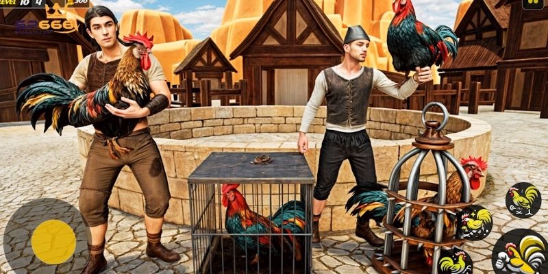 Các hình thức đá gà hấp dẫn