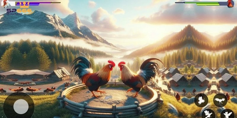 Bí quyết cược hiệu quả cho người mới