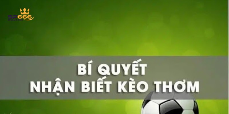 Nhận biết kèo thơm nhờ thực lực đội bóng