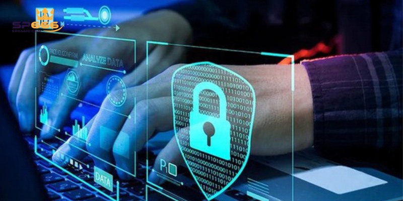 Chính Sách Về Quyền Riêng Tư Dành Cho Hội Viên Tại SP666 2 Quy định về việc bảo vệ thông tin của hội viên